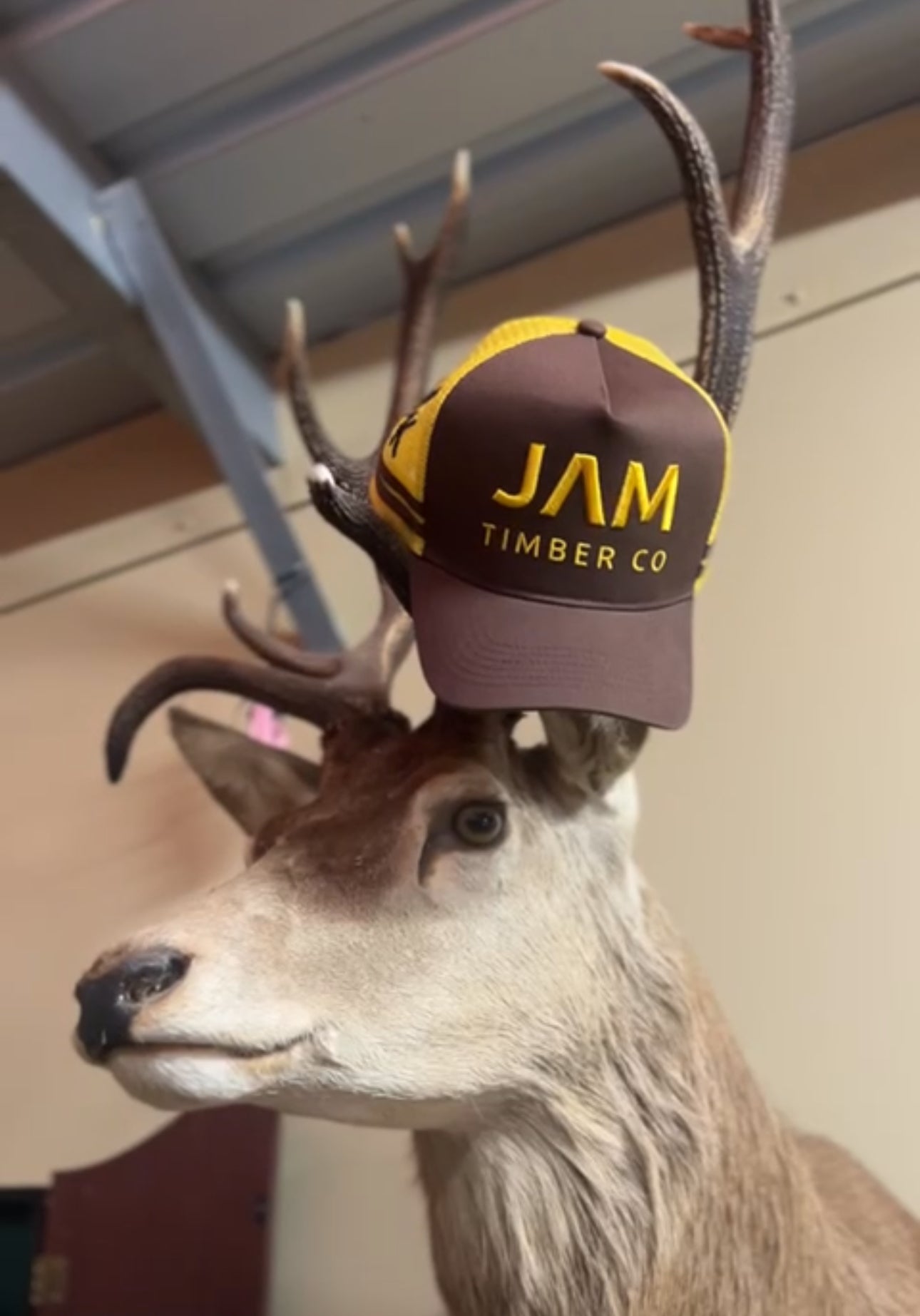 CTC JAM Timber Co Trucker Cap